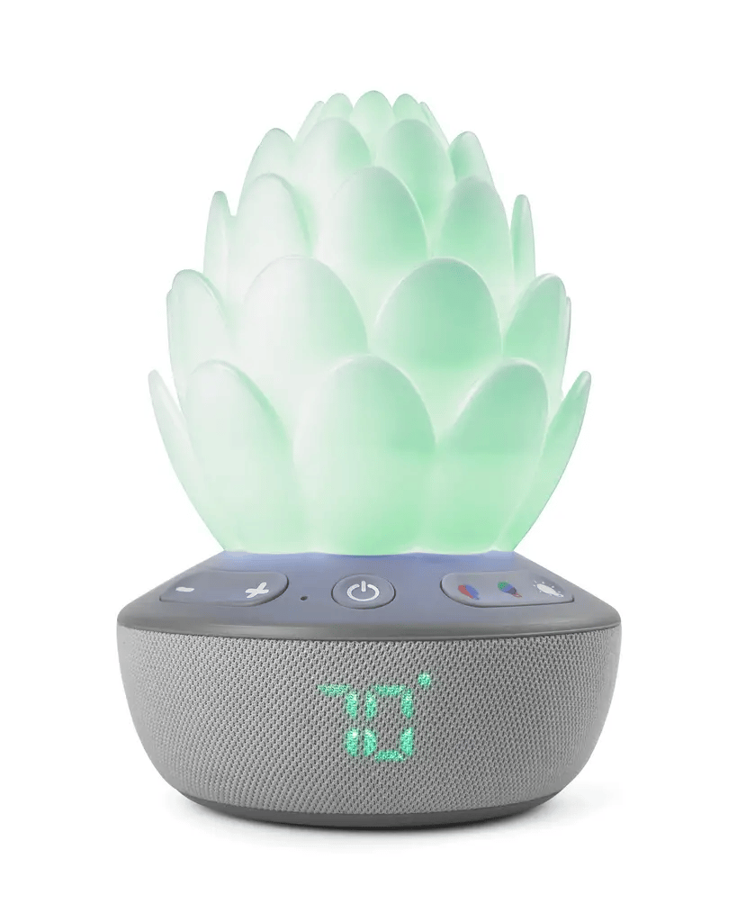 Image of the product